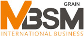 mbsm international logo